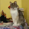 Отзыв от Эльвира Осипова